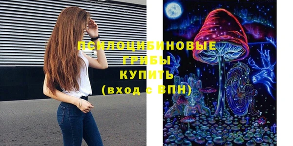 амф Надым