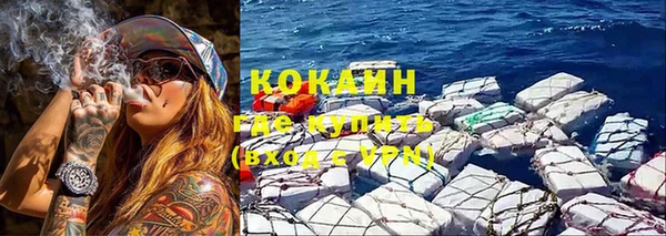 Альфа ПВП Инта